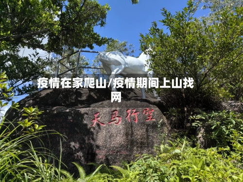疫情在家爬山/疫情期间上山找网-第2张图片