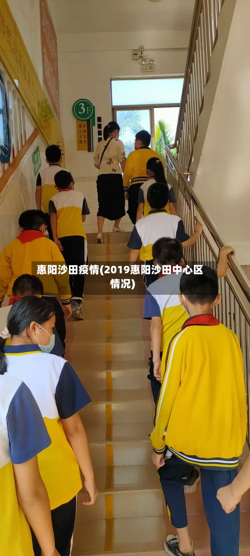 惠阳沙田疫情(2019惠阳沙田中心区情况)-第2张图片