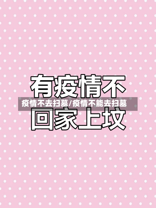 疫情不去扫墓/疫情不能去扫墓-第1张图片