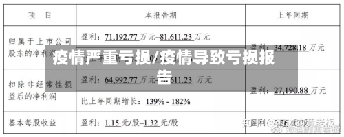 疫情严重亏损/疫情导致亏损报告-第2张图片