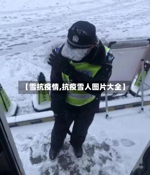 【雪抗疫情,抗疫雪人图片大全】-第1张图片