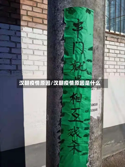 汉朝疫情原因/汉朝疫情原因是什么-第3张图片