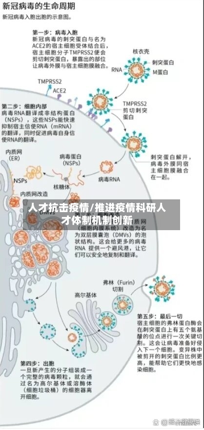 人才抗击疫情/推进疫情科研人才体制机制创新-第2张图片