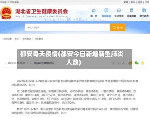 都安每天疫情(都安今日新增新型肺炎人数)-第2张图片