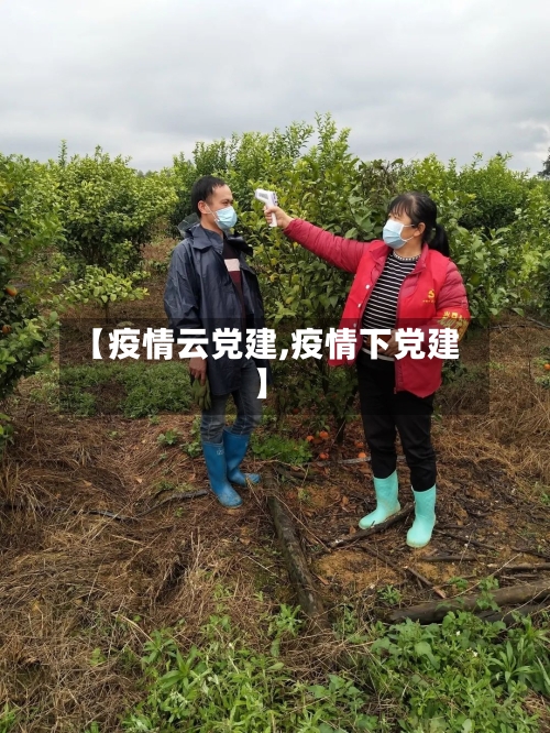 【疫情云党建,疫情下党建】-第2张图片
