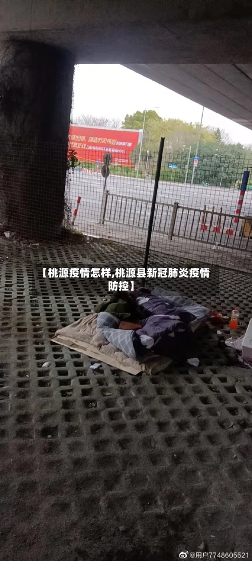 【桃源疫情怎样,桃源县新冠肺炎疫情防控】-第3张图片