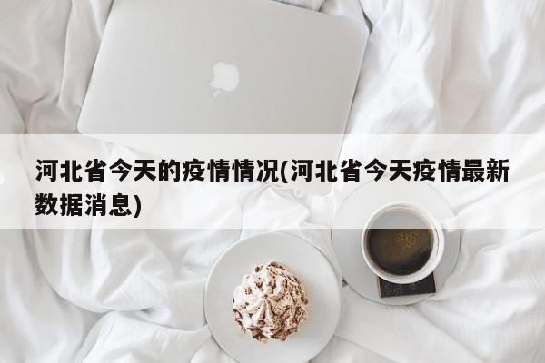 河北省今天的疫情情况(河北省今天疫情最新数据消息)