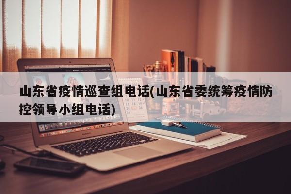 山东省疫情巡查组电话(山东省委统筹疫情防控领导小组电话)