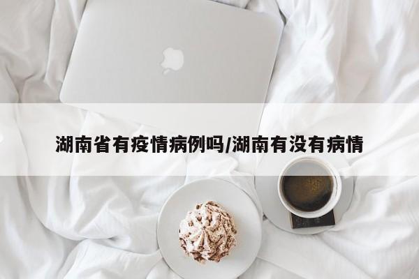 湖南省有疫情病例吗/湖南有没有病情