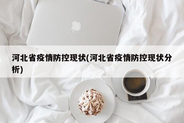 河北省疫情防控现状(河北省疫情防控现状分析)