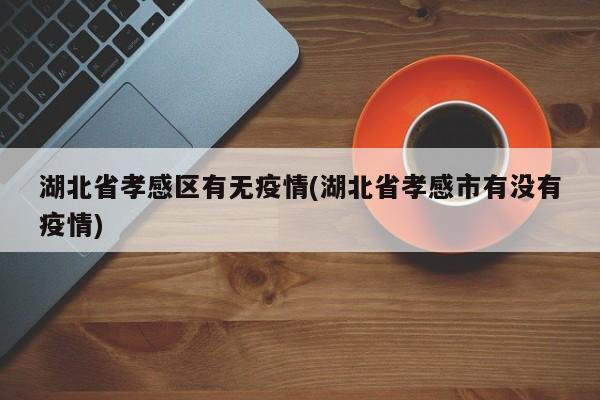 湖北省孝感区有无疫情(湖北省孝感市有没有疫情)
