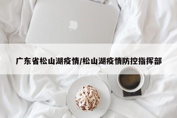 广东省松山湖疫情/松山湖疫情防控指挥部