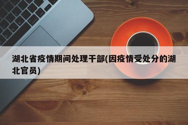 湖北省疫情期间处理干部(因疫情受处分的湖北官员)