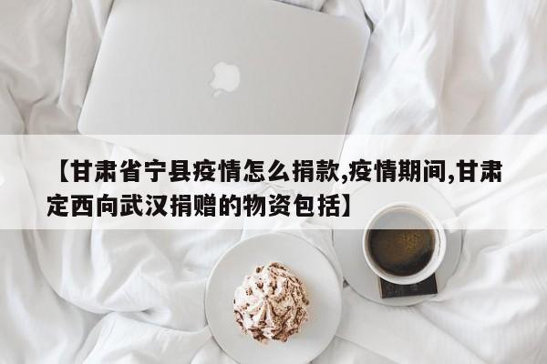 【甘肃省宁县疫情怎么捐款,疫情期间,甘肃定西向武汉捐赠的物资包括】