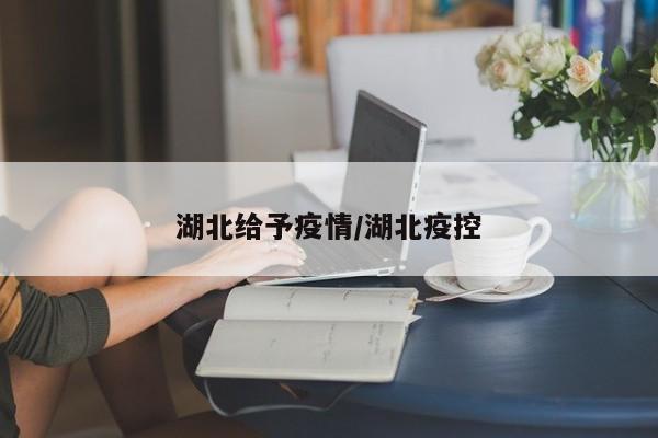 湖北给予疫情/湖北疫控