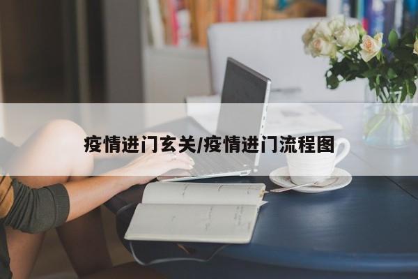 疫情进门玄关/疫情进门流程图